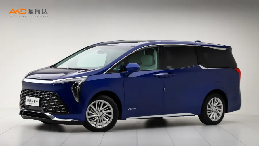 二手别克世纪 2.0T 六座蕴世版图片