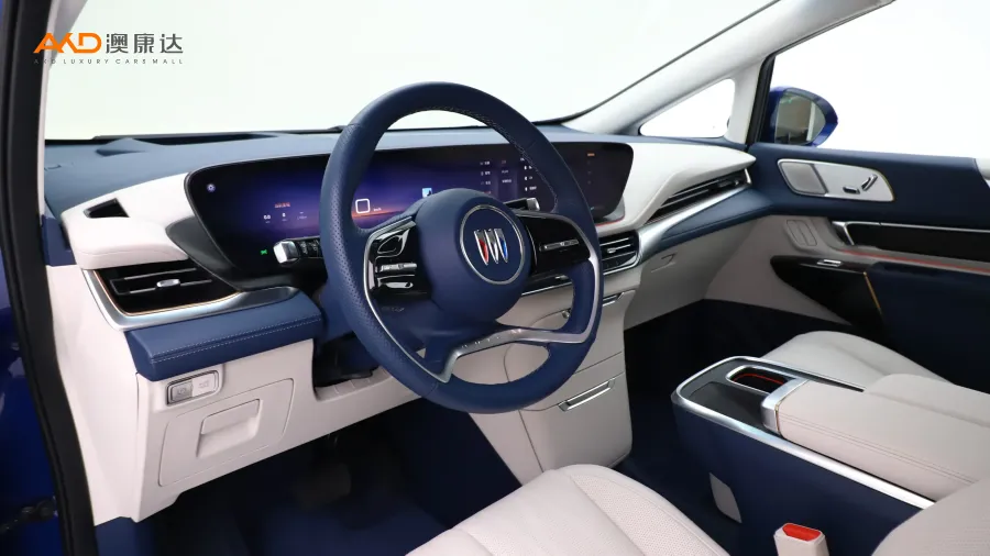 二手别克世纪 2.0T 六座蕴世版图片4023569