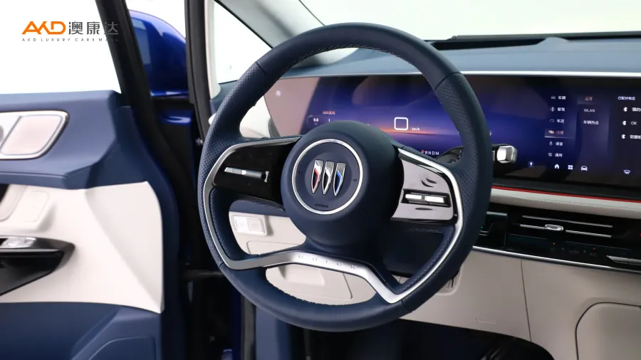 二手别克世纪 2.0T 六座蕴世版图片4023571