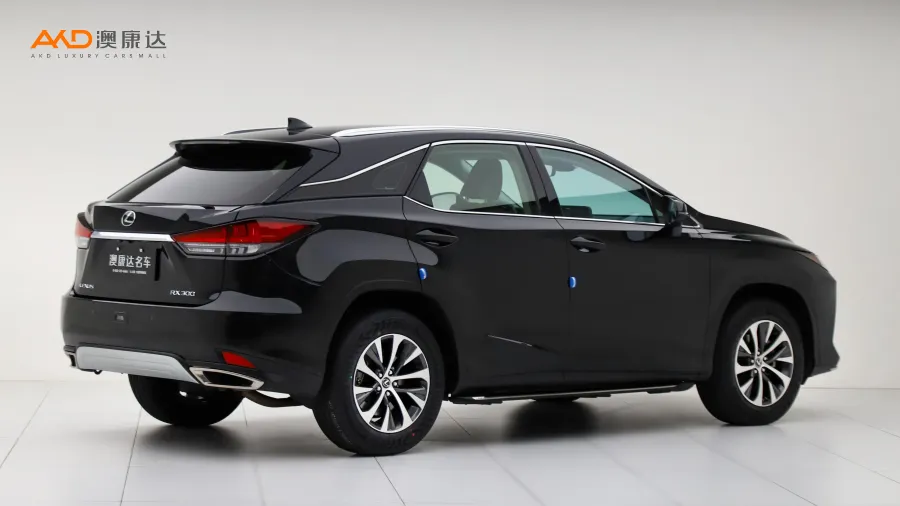 二手雷克萨斯RX300  改款两驱舒适版图片4047801