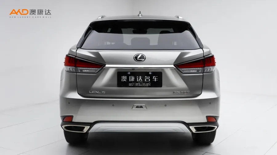 二手雷克萨斯RX300 改款 四驱典雅版图片4064571