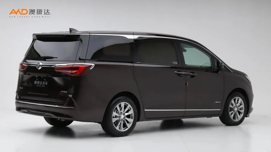 二手别克GL8 Avenir艾维亚 六座贤礼版图片4079142