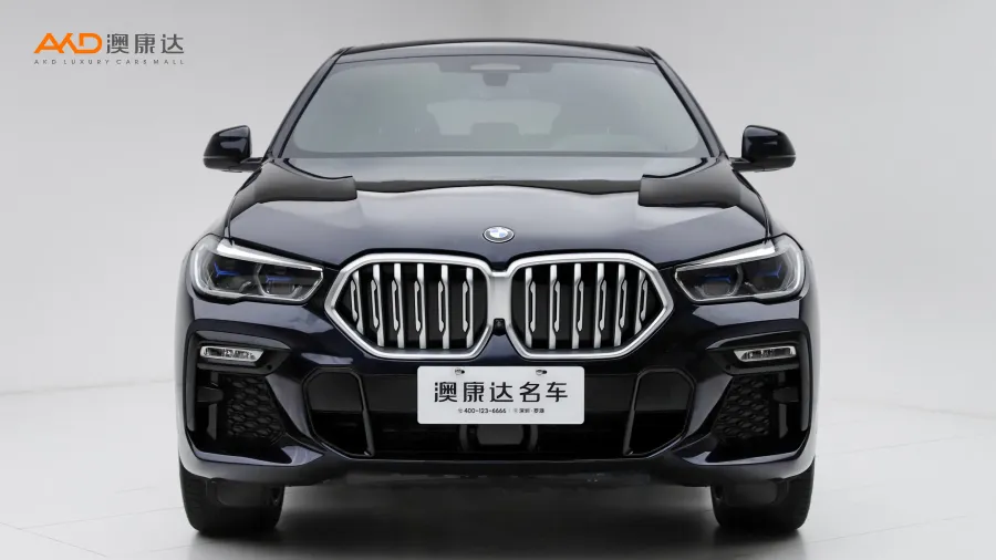 二手宝马X6 xDrive40i 尊享型M运动套装图片4091293