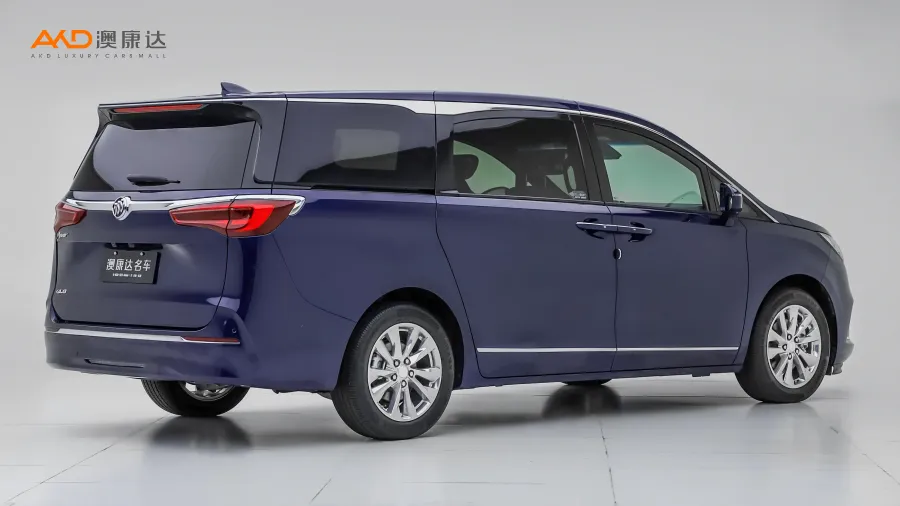 二手别克GL8  Avenir 艾维亚四座尊礼版图片4093459