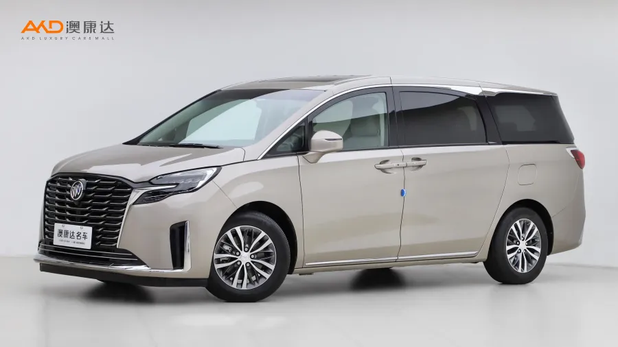 二手别克GL8 ES陆尊 舒适型图片