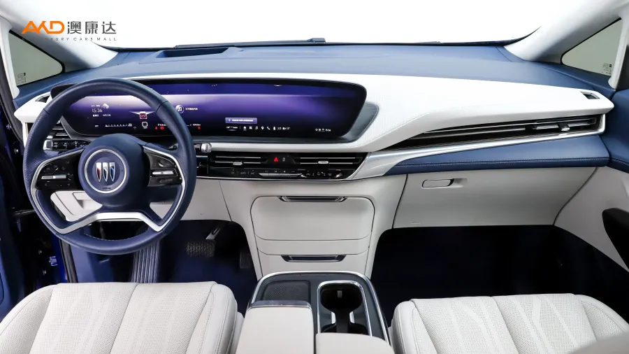 二手别克世纪 2.0T 六座蕴世版图片4098881