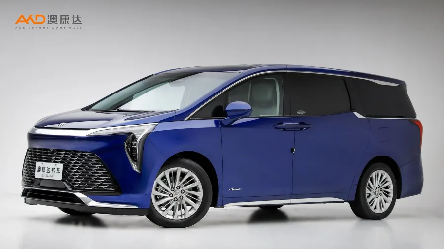 二手别克世纪 2.0T 六座蕴世版图片