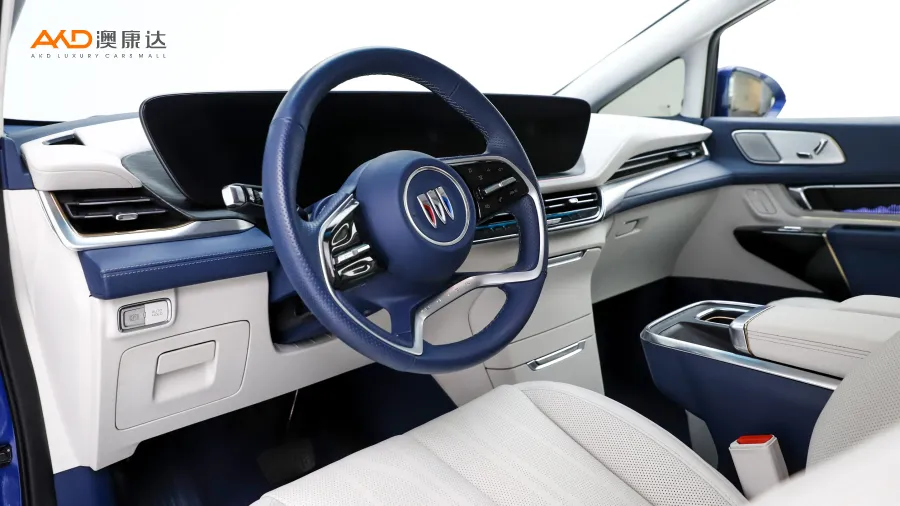 二手别克世纪 2.0T 六座蕴世版图片4098873