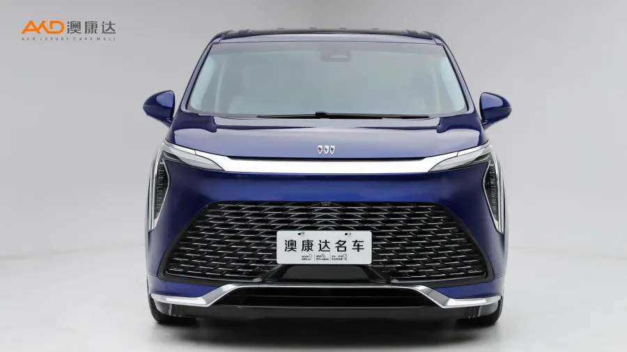 二手别克世纪 2.0T 六座蕴世版图片4098863