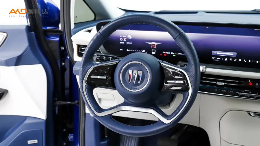 二手别克世纪 2.0T 六座蕴世版图片4098882