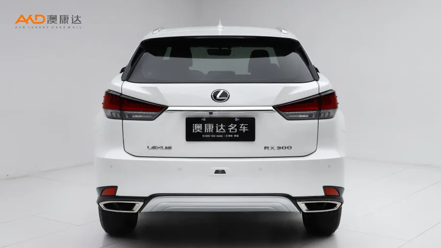 二手雷克萨斯RX300 两驱精英版图片4112158