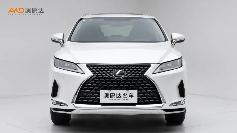 二手雷克萨斯RX300 两驱精英版图片4112152