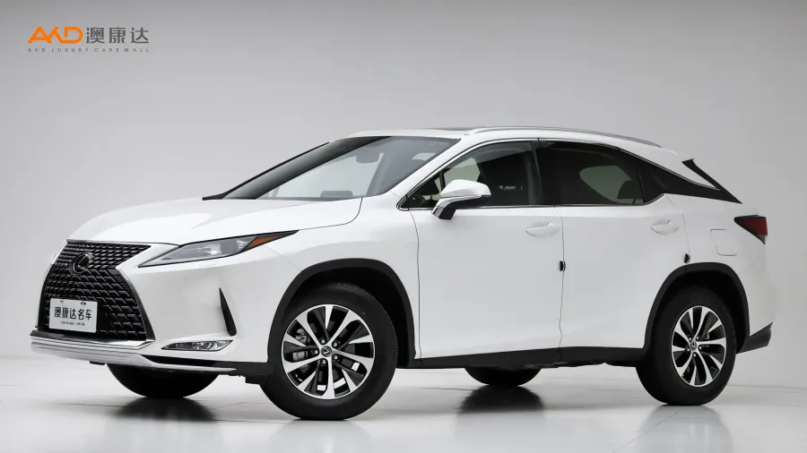 二手雷克萨斯RX300 两驱精英版图片