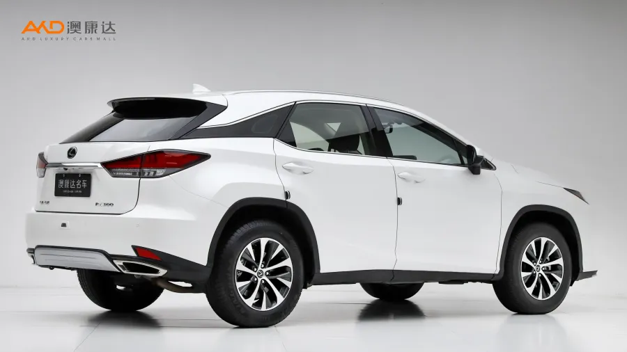 二手雷克萨斯RX300 两驱精英版图片4112156