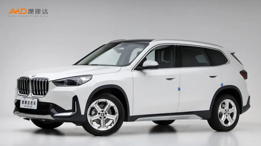 二手宝马X1 sDrive20Li X设计套装图片