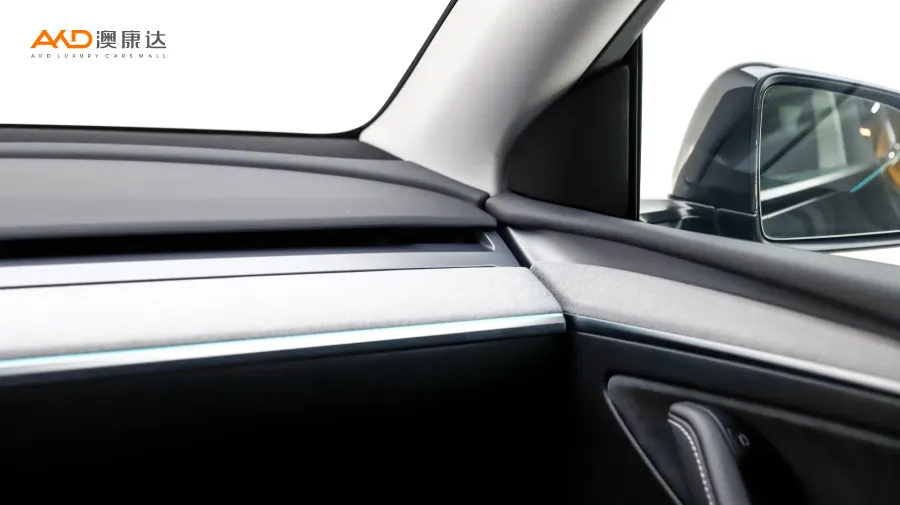 二手特斯拉Model Y 后轮驱动版图片4178387