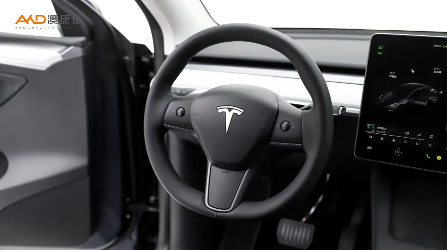 二手特斯拉Model Y 后轮驱动版图片4178385