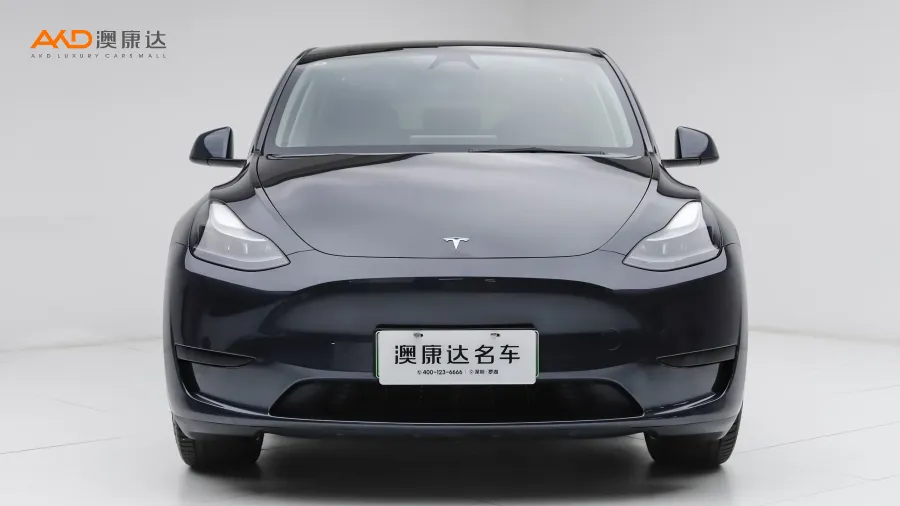 二手特斯拉Model Y 后轮驱动版图片4178367
