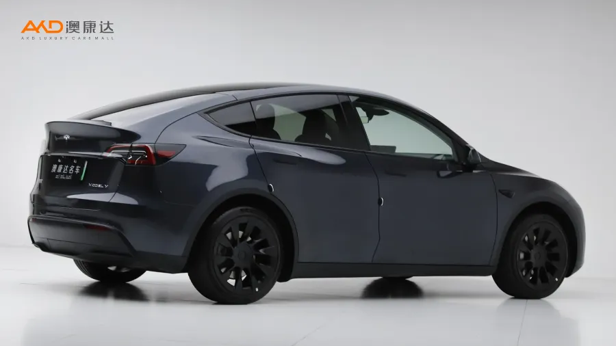 二手特斯拉Model Y 后轮驱动版图片4178371