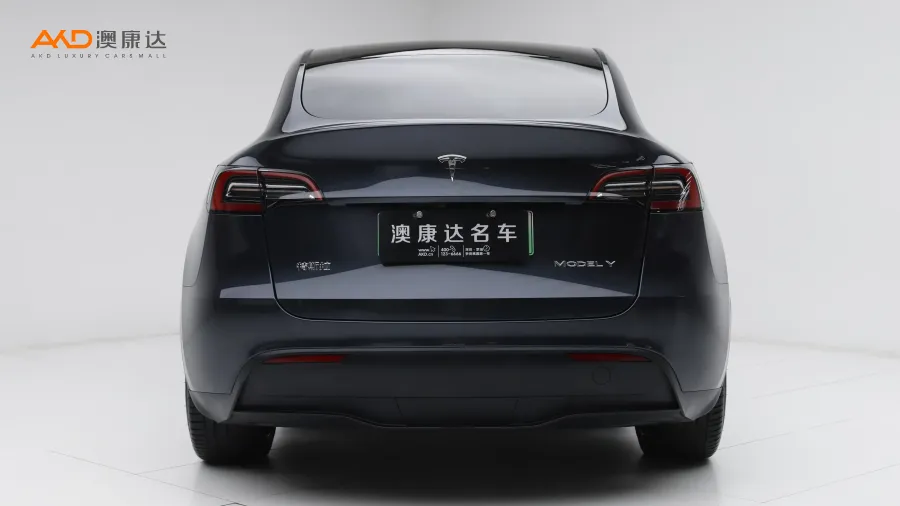 二手特斯拉Model Y 后轮驱动版图片4178373