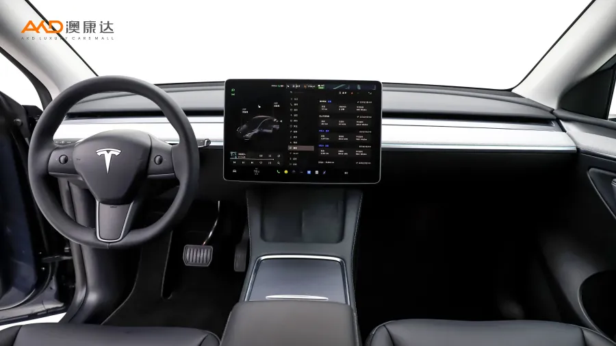 二手特斯拉Model Y 后轮驱动版图片4178384