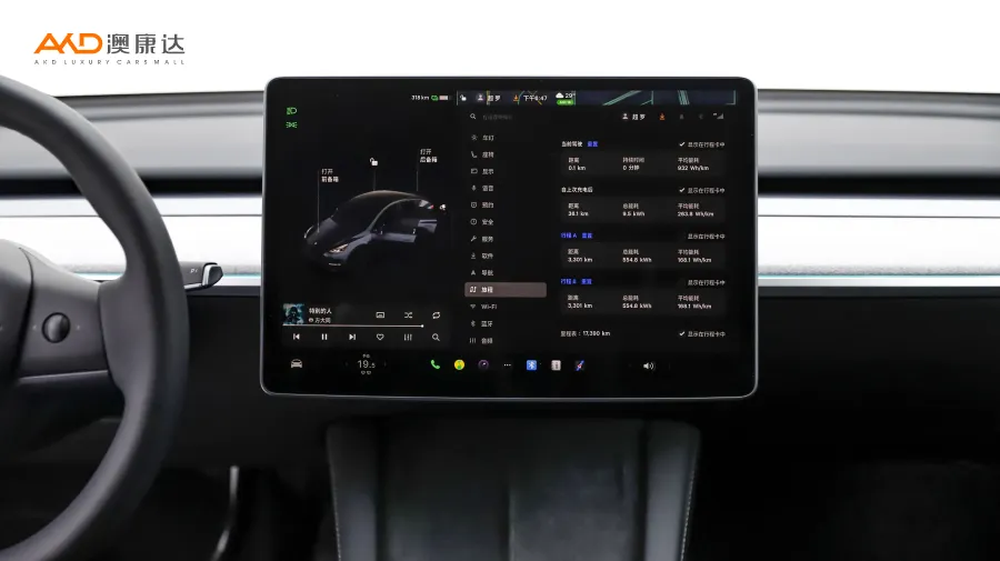 二手特斯拉Model Y 后轮驱动版图片4178386