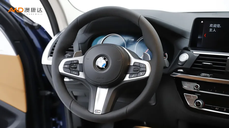 二手宝马X3 xDrive28i M运动套装图片4181233