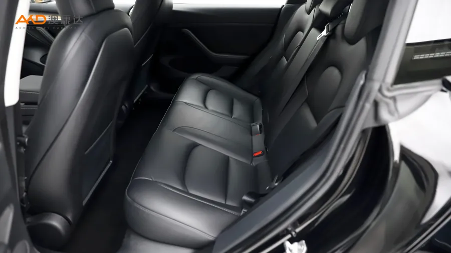二手特斯拉Model 3 后轮驱动版图片4180296