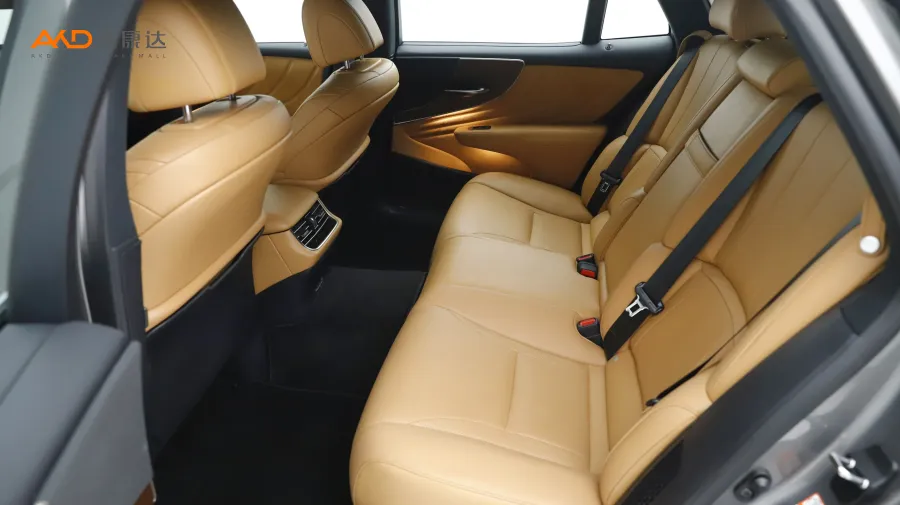 二手雷克萨斯LS500h  卓越版图片4182971