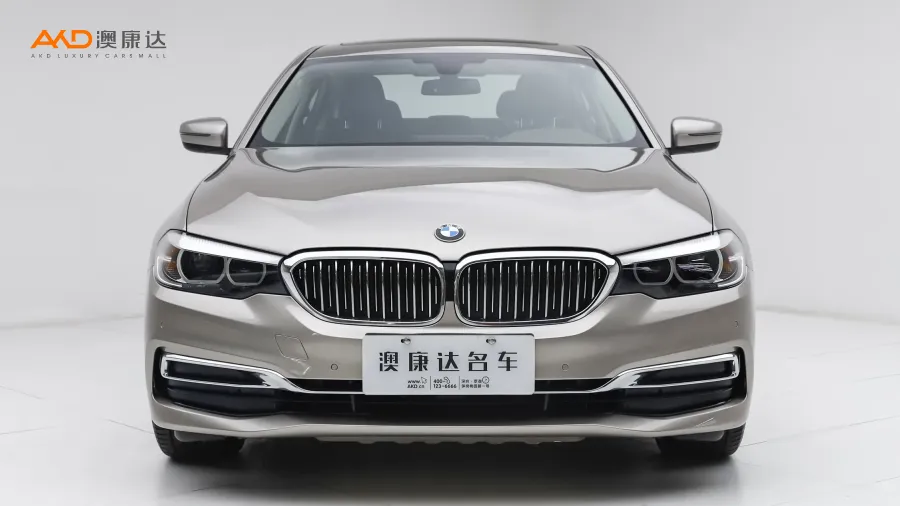 二手宝马525Li 豪华套装图片4183839