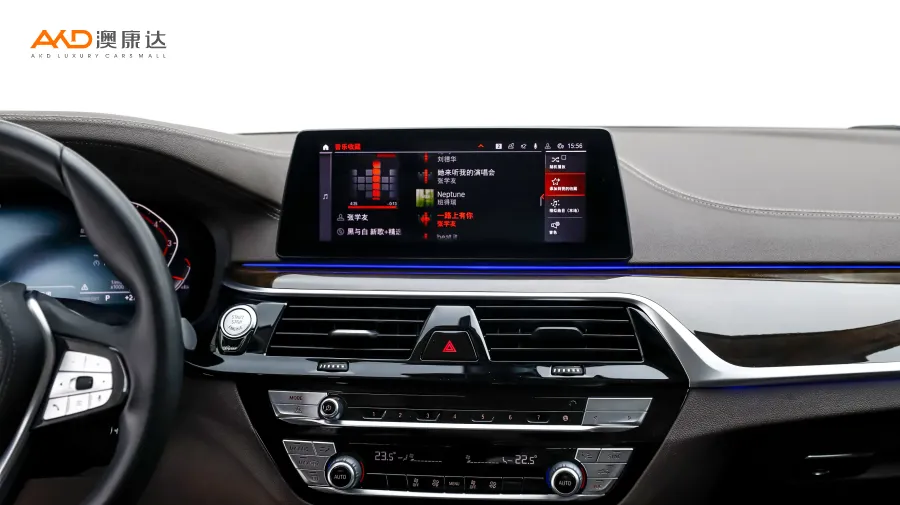 二手宝马525Li 豪华套装图片4183858