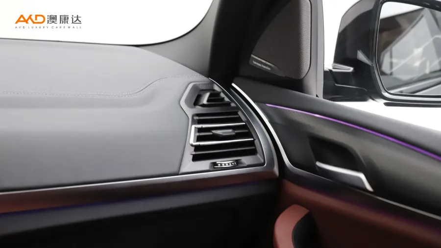 二手宝马X3 xDrive30i 尊享型 M曜夜套装图片4397667