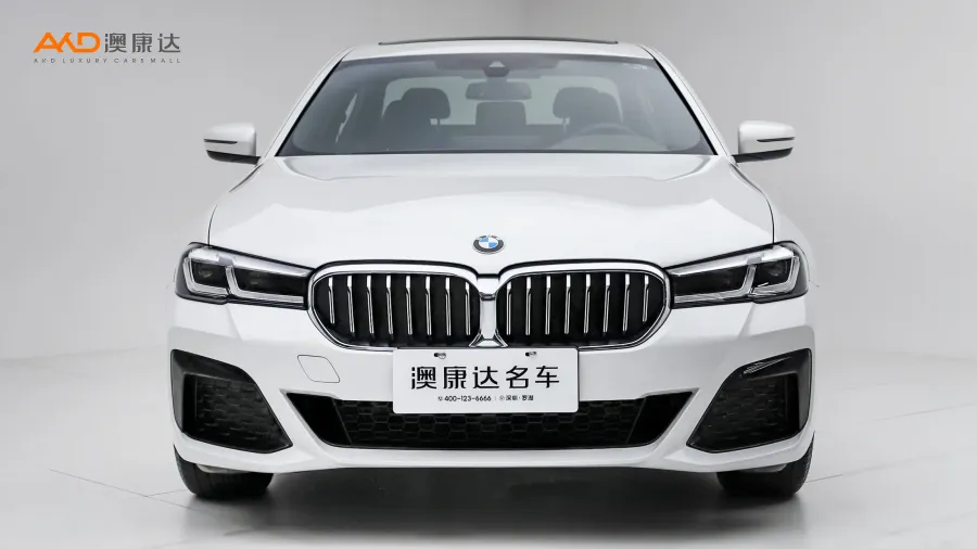 二手改款530Li领先型M运动套装图片4397036