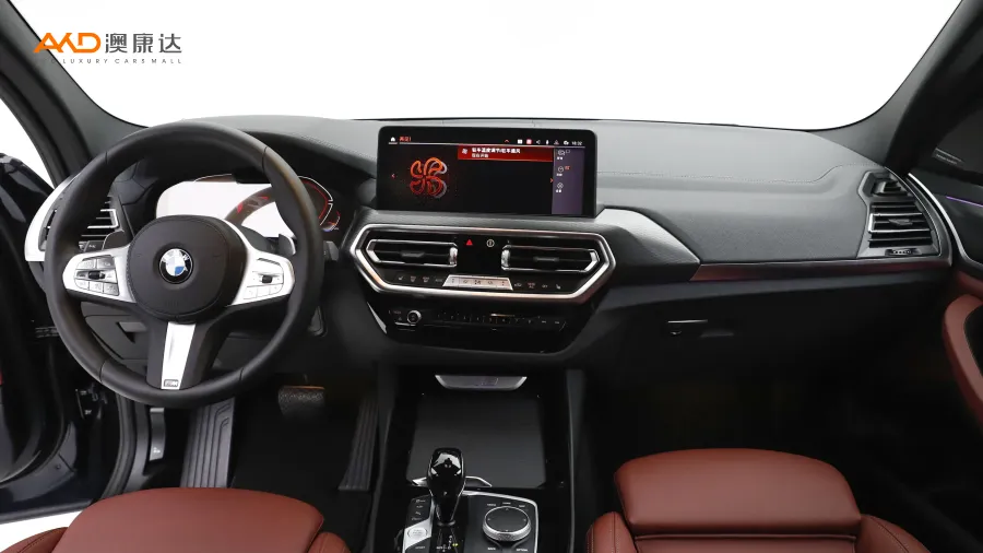 二手宝马X3 xDrive30i 尊享型 M曜夜套装图片4397664