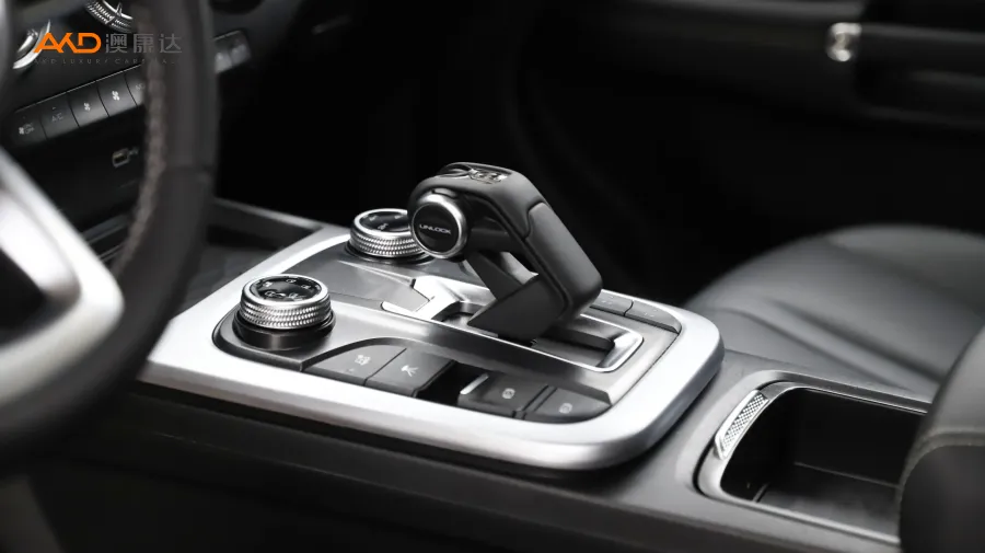 二手坦克300 2.0T 边境限定版图片4399590