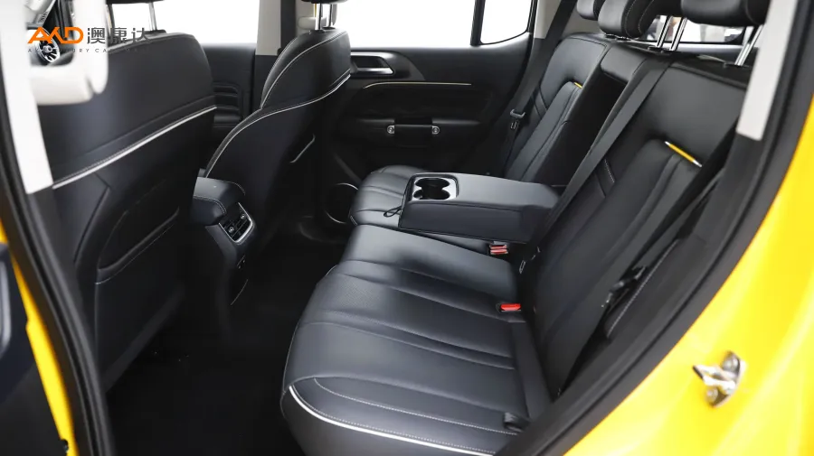 二手坦克300 2.0T 边境限定版图片4399595