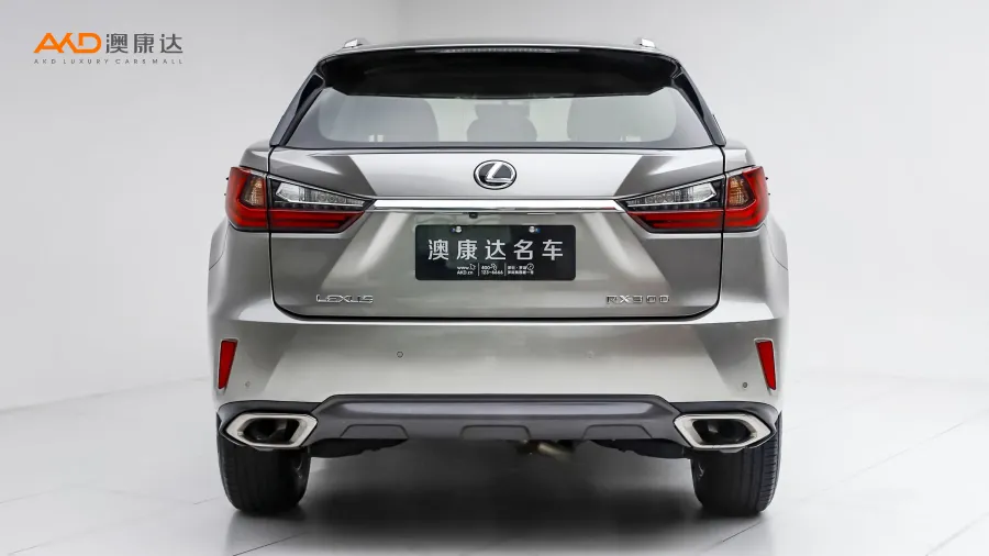 二手雷克萨斯RX300 两驱精英版图片4398436